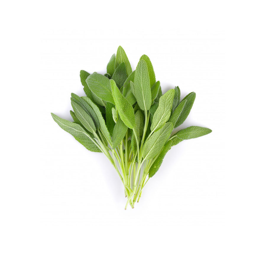 FRESH SAGE