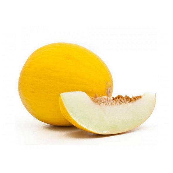 MELON - SARDA / GALIA (YELLOW)