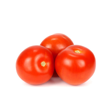 TOMATO - HYBRID