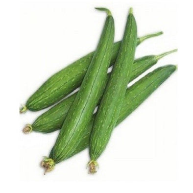 RIDGE GOURD / TORI