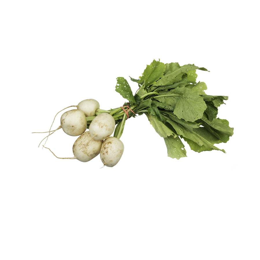 BABY TURNIP WITH LEAVES - WHITE
