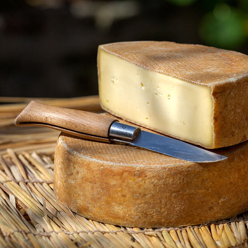 YAK MILK CHEESE - TOMME (HIMALAYAN FRENCH)